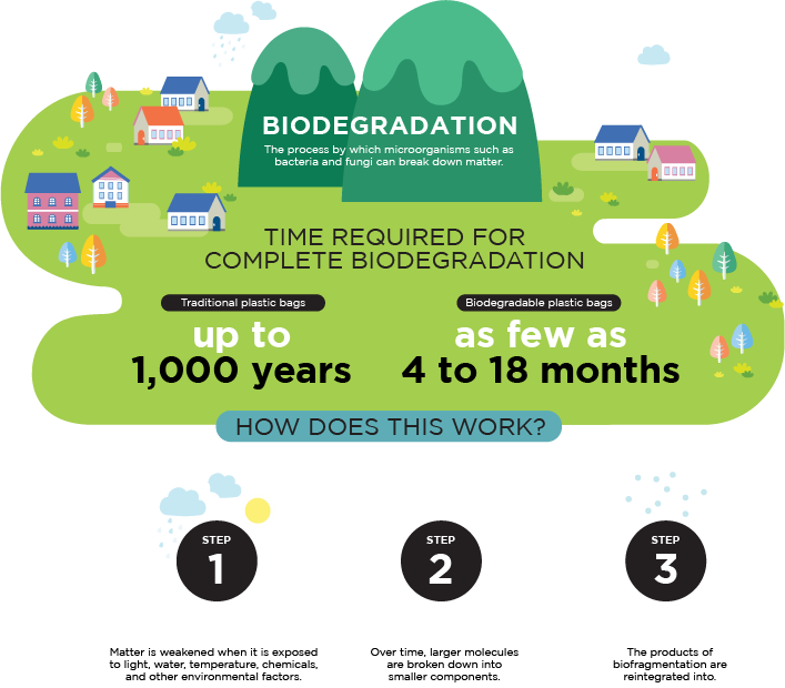 biodegradation infographic